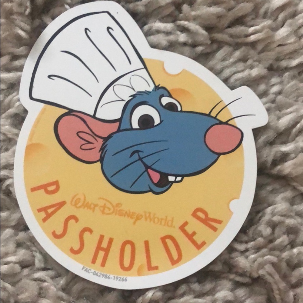 ✨Disney AP Magnet✨